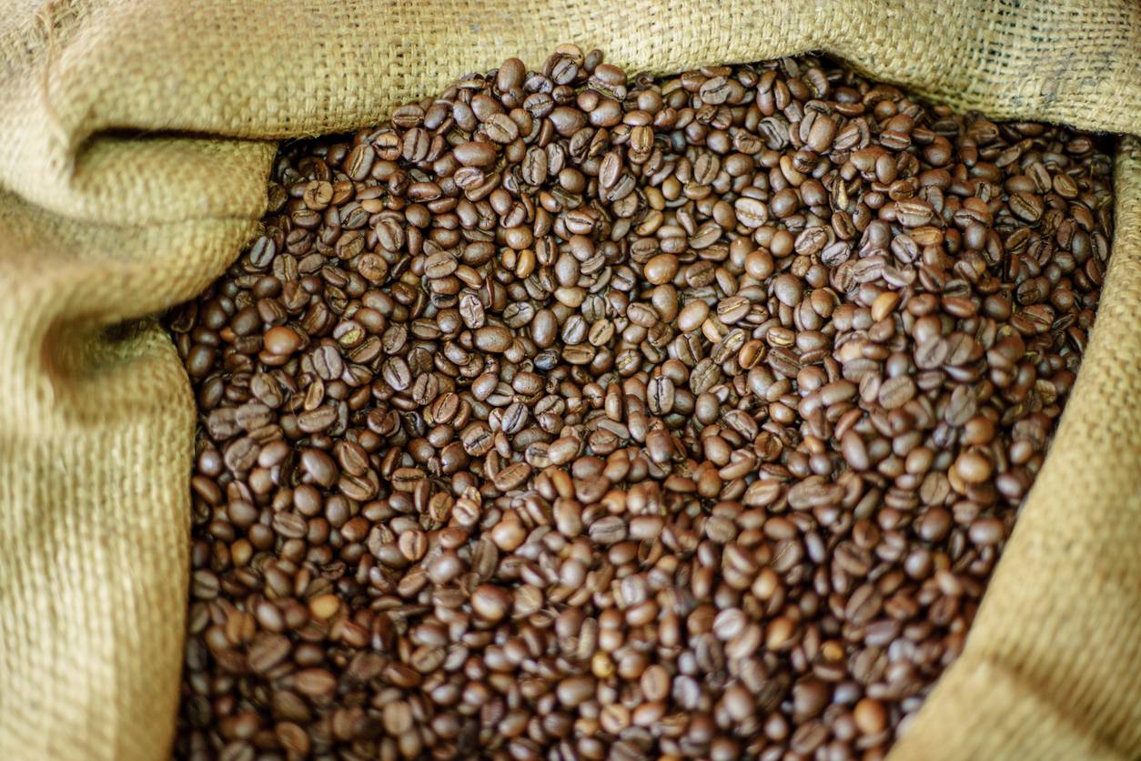 Histoire et évolution du café 