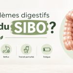 Et si vos problèmes digestifs venaient du SIBO ? Et si vos problèmes digestifs venaient du SIBO ?