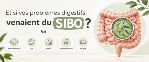 Et si vos problèmes digestifs venaient du SIBO ?