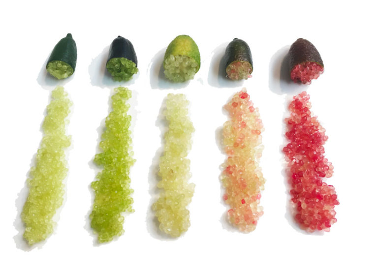 Recette citron caviar : cuisiner et déguster le finger lime